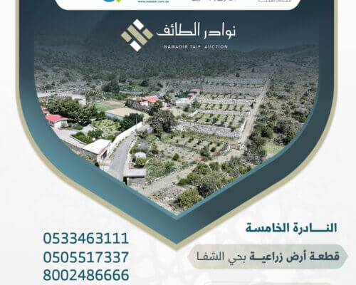 مزرعة للبيع بالمزاد العلني في مدينة الطائف